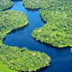 Vista aérea de la selva amazónica. Foto: CIAT / Flickr, bajo licencia cc